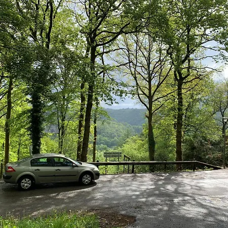 Bonsoy Lovely House Fauve 1 *