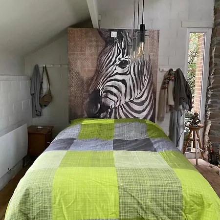 Bonsoy Lovely House Fauve 1 Blaimont