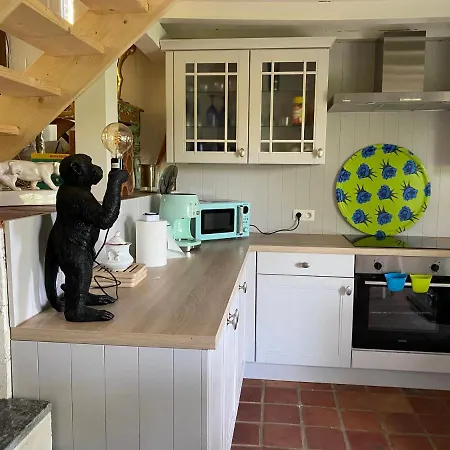 Bonsoy Lovely House Fauve 1 *